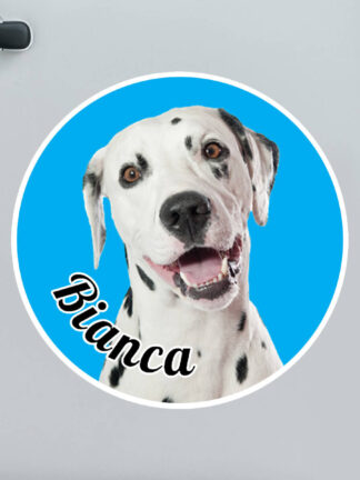 Adesivo personalizzato per auto - Animale a bordo