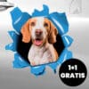 Adesivo personalizzato per auto 1+1 GRATIS
