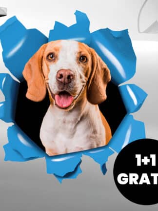 Adesivo personalizzato per auto 1+1 GRATIS