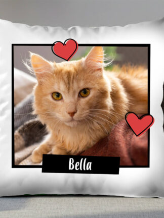 Cuscino personalizzato – Il mio animale preferito