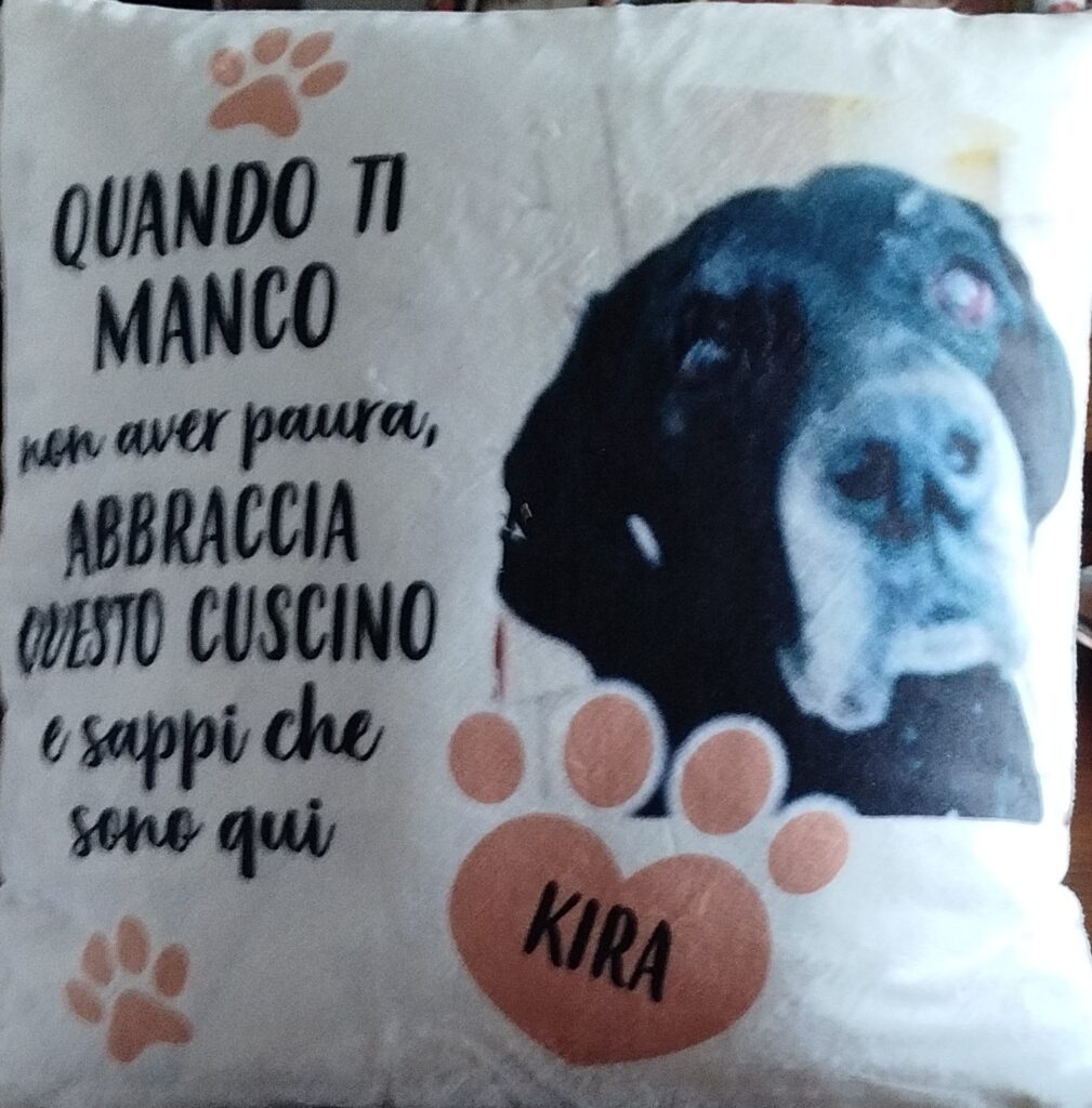 Immagine #1 da angelo